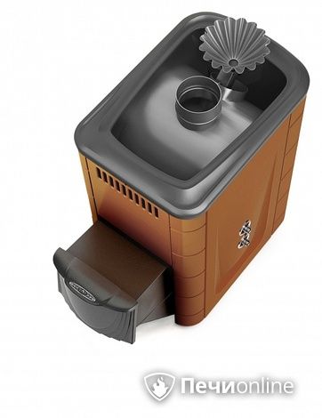 Дровяная банная печь TMF Ангара 2012 Inox ДА ЗК ТО терракота в Калуге